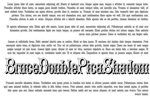 Bruce Double Pica: A Classic Display Font for Nostalgic Brands