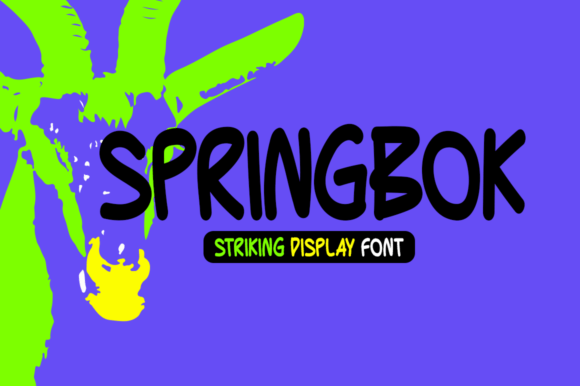 Springbok Display Font for Bold Branding